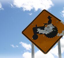 Farmer Crossing Sign Shot out by PhotoCrazy6