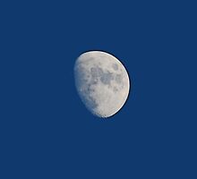 Three Quarters Moon by Tori Snow