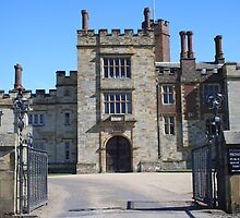 Penshurst Place by Dave Godden