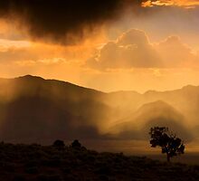 Thunder Storm Across the High Desert by Jeanne Nations