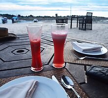 Cheers by Fiona Allan Photography