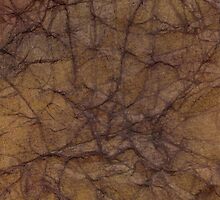 Cerebral by Leila A. Fortier