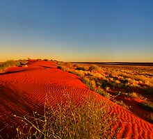 The dune by donnnnnny