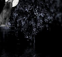 Eclipse - Jacobs Theme by Angi Baker