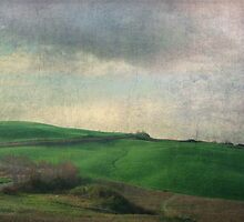 Toscana Vintage V by Lena Weiss