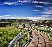 Path Over Badlands by Myron Watamaniuk