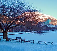 Winter by Lille Lungårdsvann by Annbjørg Næss