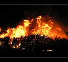 Fiery Night I by Tanya Rossi