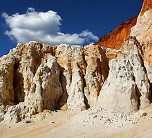 The Pinnacles at Ben Boyd National Park by Darren Stones