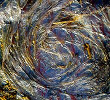 The Earth Plus Plastic by Jay Taylor