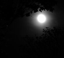 Gloom © by Jonelle Perez Muñoz