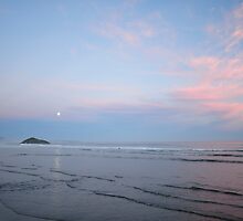 Surfer under the moonlight by riosaimages