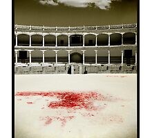 A Tradition of Tragedy by Mal Bray
