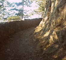 Path Less Traveled by Jennifer Bishop