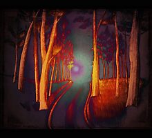 the path by vampvamp