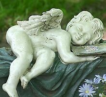 sleeping cherub by wolf6249107