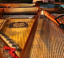 The Tuning by BillCMartin