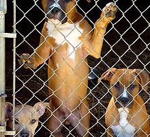 Play Time Yet? by Heather Haderly