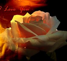 I Love You.Card. by Vitta