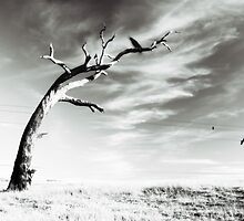 alone by vampvamp