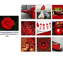 Love Red The Most Popular Entry in This Challenge by Naveen Sharma