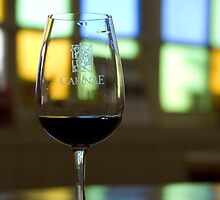 Wine tasting in Mendoza by Philippe Widling
