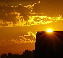 Sunrise over my Neighbor's House by Susan Blevins