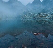 In the mist by fos4o