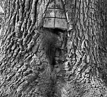 Silently Engulfed by Intheraine
