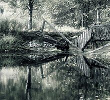 17.9.2010: Garden of Oblivion by Petri Volanen