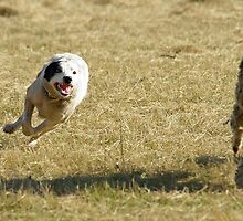 Determination by Tania Russell