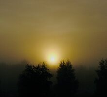 VSOP. ❤❤❤❤❤❤ .Chill out - sunrise . Sweden. Brown Sugar Story. Favorites: 3 Views: 1021. . by © Andrzej Goszcz,M.D. Ph.D