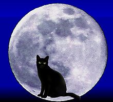 Cat and the moon by Elenne Boothe