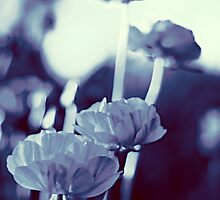 pete's poppies II by vampvamp