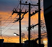 Wired by Dave Lloyd