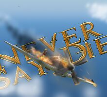 Never Say Die by Tony Brown