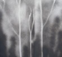 Hallow tree, with hidden souls.. by linmarie