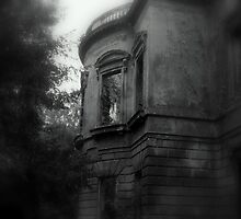 Baron Hill - Rear by George Bulled