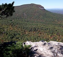 The View by Sandy Woolard