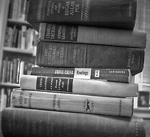 The Stack by Eric Scott Birdwhistell