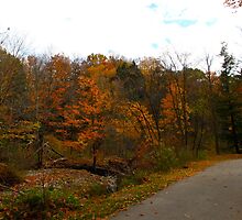 Autumn Sojourn by MarianBendeth