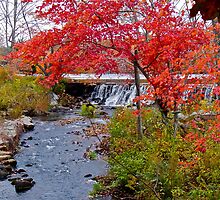 Usquepaug Waterfall - Fall in Rhode Island by Jack McCabe
