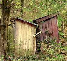 Double "Out Houses" in Hillbilly Lands, N.W. Arkansas by David Hughes