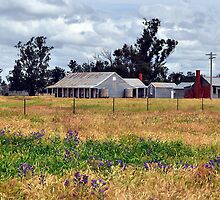 The Shearing Quarters by Terry Everson