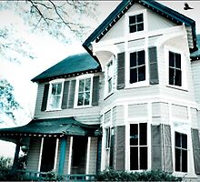 The Dollhouse by Ryan Fisher