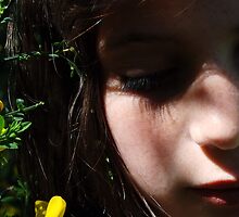 Bliss by Clare McClelland