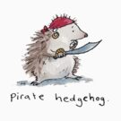 Pirate Hedgehog by Bethan Matthews