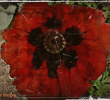 Lest we Forget by Julesrules