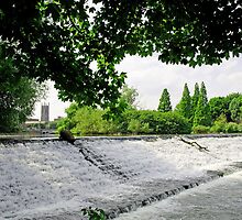 Features of Derby by Rod Johnson