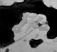 Evidence 6 by Alan Brazzel
